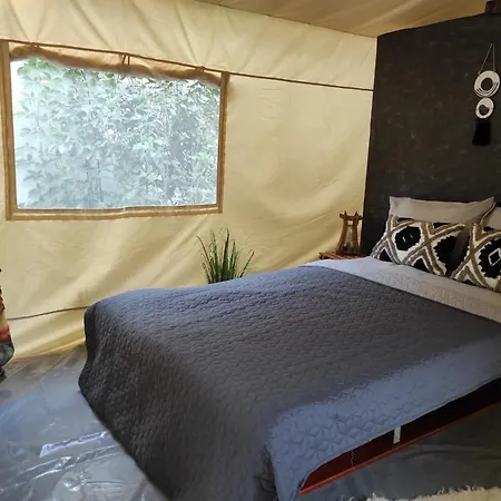 Casa Soarelui 3* Vama Veche