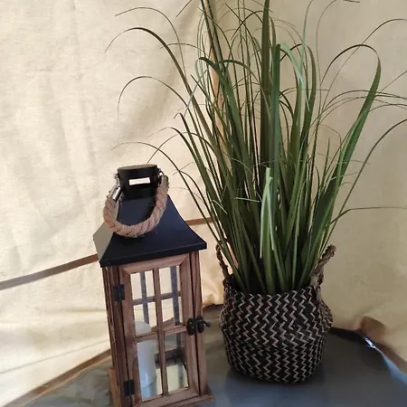 Pensiune Casa Soarelui