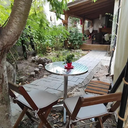 Guest house Casa Soarelui